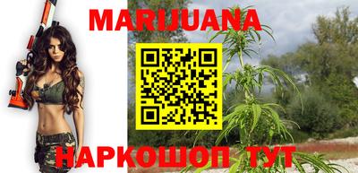 прущие грибы Бердск