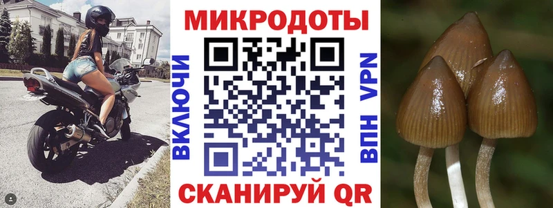наркошоп blacksprut ссылка Галлюциногенные грибы мухоморы Абинск