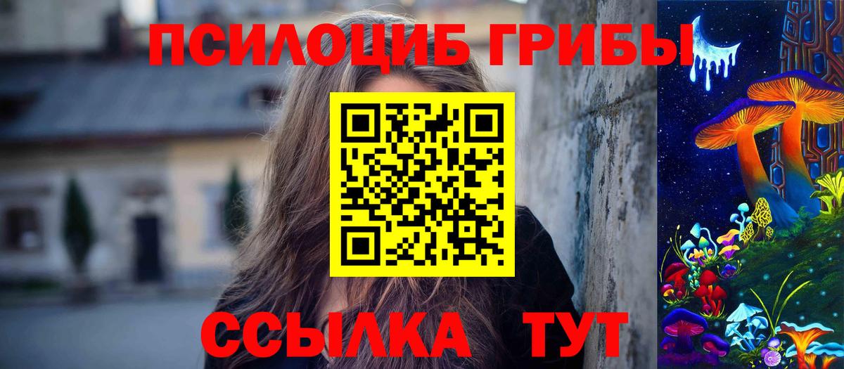 Галлюциногенные грибы Psilocybe  закладка  Вход с VPN  Абинск  Псилоцибиновые грибы Psilocybine cubensis 