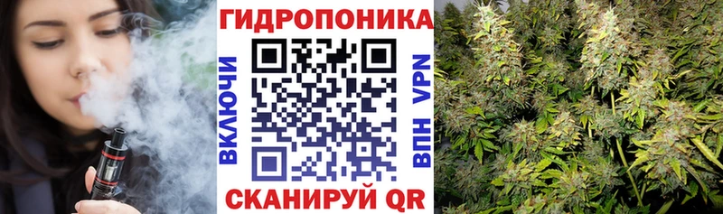 Бошки марихуана Bruce Banner  что такое   Абинск 